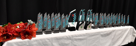 športnik leta 2025 (1)